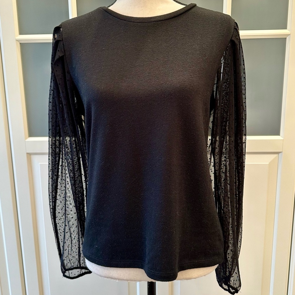 Zara sheer sleeve sweater